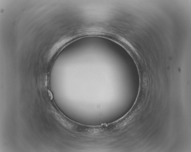 X0000060801461200511241858