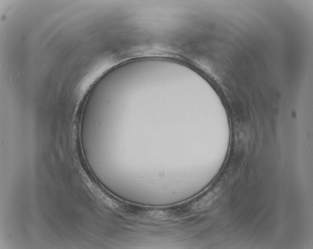 X0000060801463200511241858