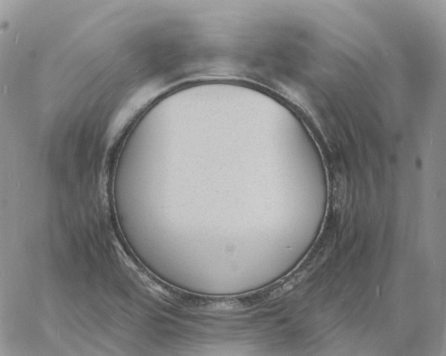 X0000060801464200511241858