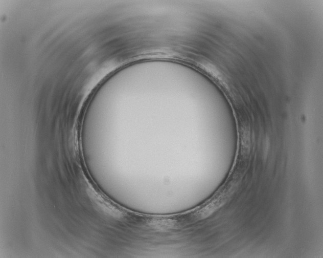 X0000060801466200511241858