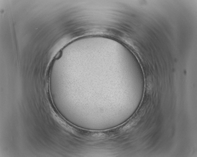 X0000060801467200511241858