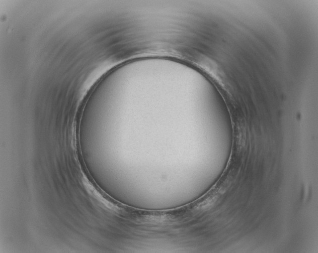 X0000060801468200511241858