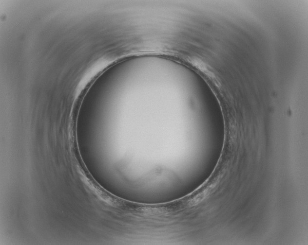 X0000060801469200511241858