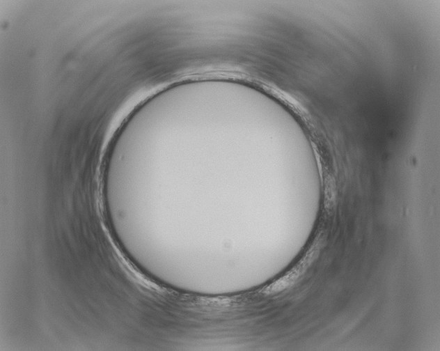 X0000060801470200511241858