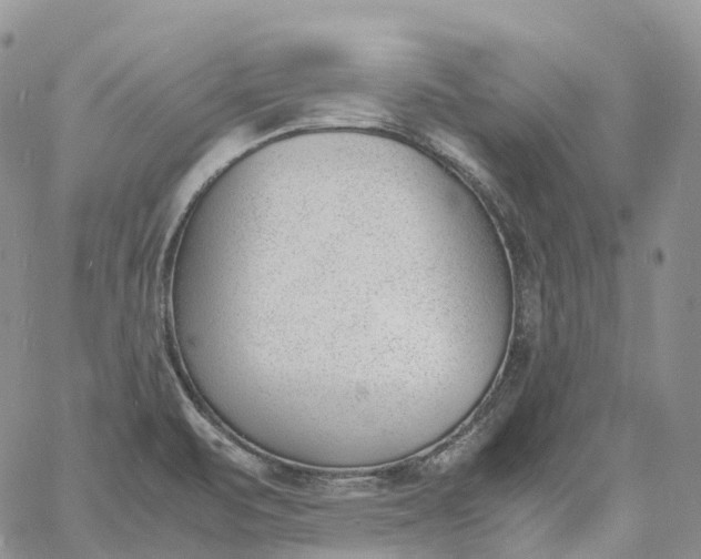 X0000060801471200511241858