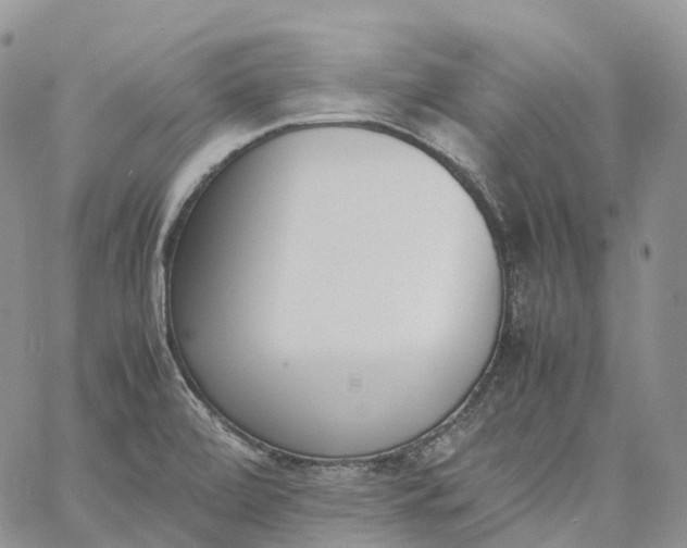 X0000060801472200511241858