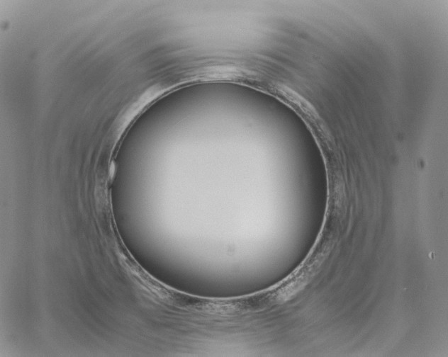 X0000060801473200511241858