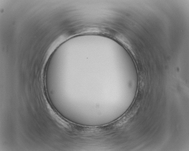 X0000060801475200511241858