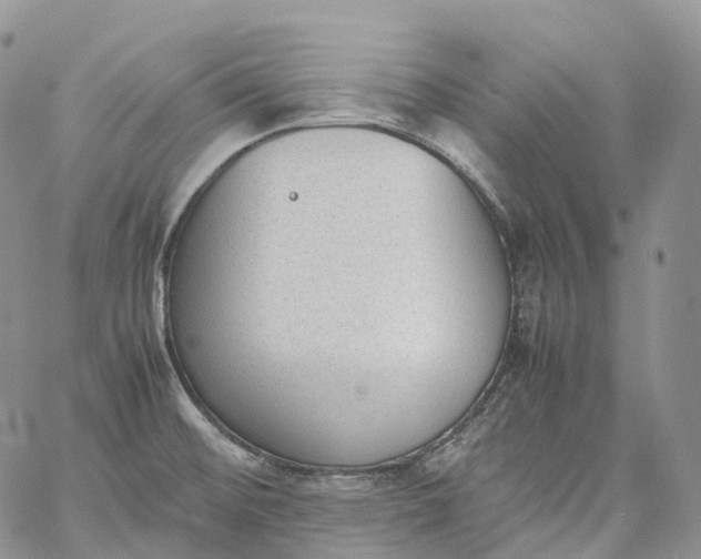 X0000060801476200511241858