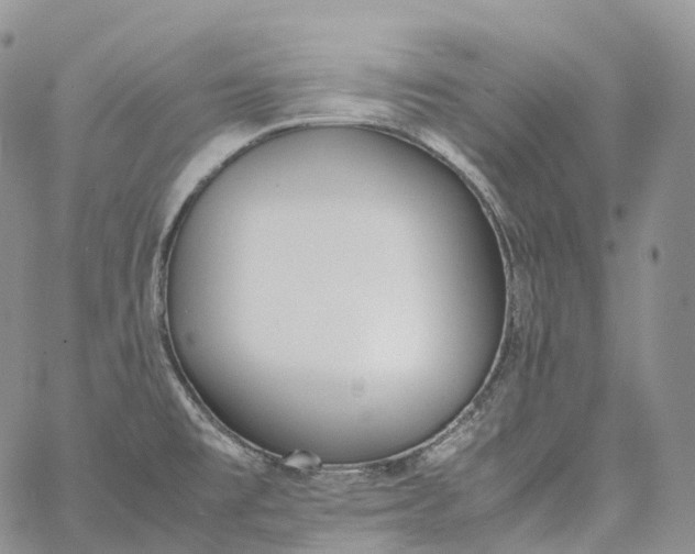 X0000060801477200511241858