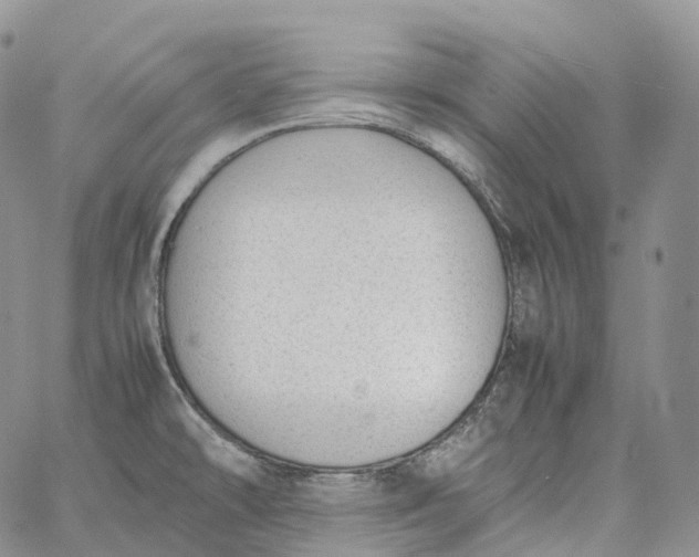 X0000060801478200511241858