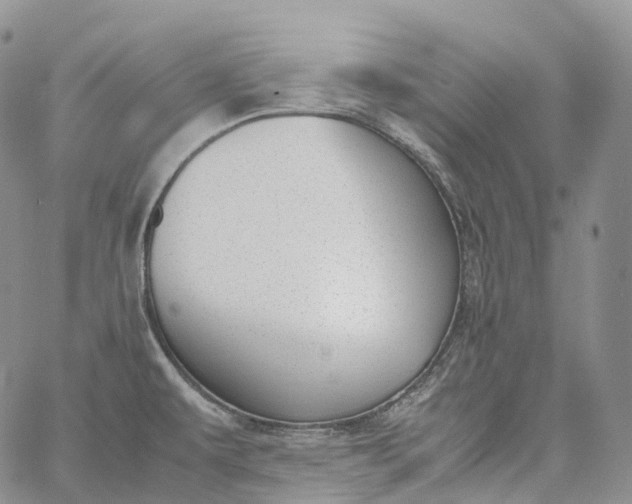 X0000060801479200511241858