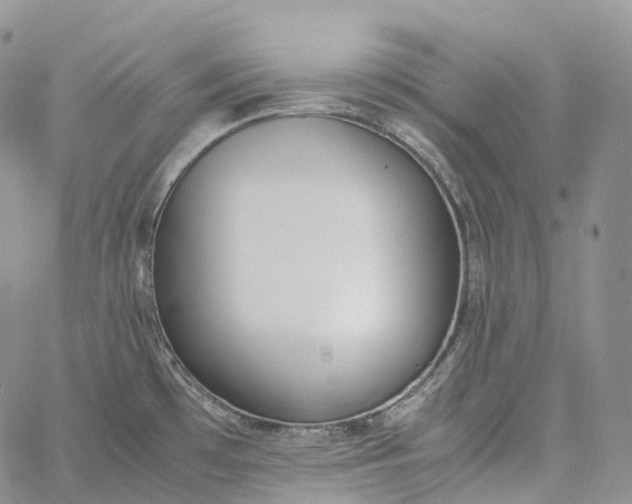 X0000060801481200511241858