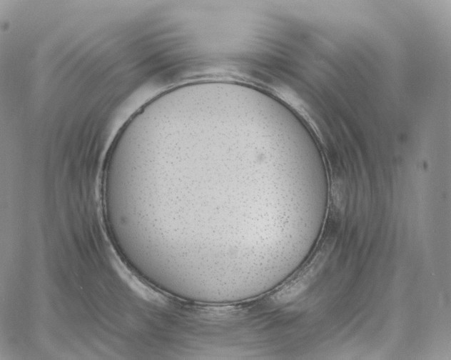 X0000060801482200511241858