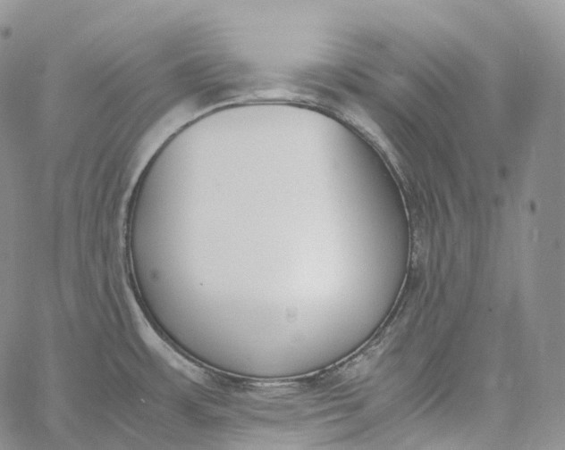 X0000060801483200511241858