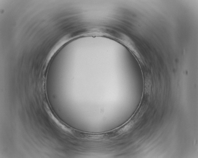 X0000060801484200511241858