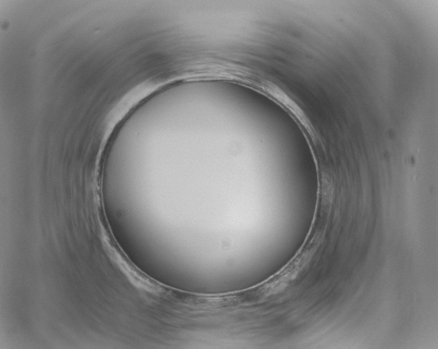 X0000060801485200511241857