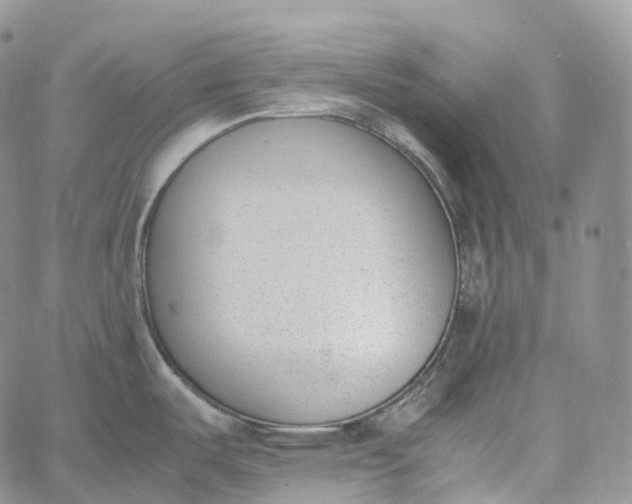 X0000060801487200511241857