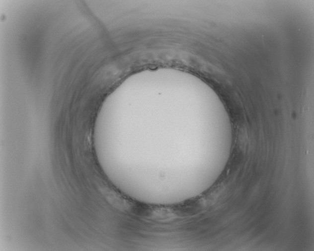 X0000060801489200511241857