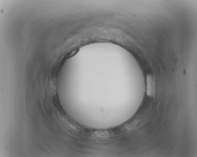 X0000060801491200511241857