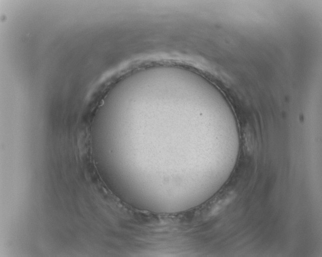 X0000060801494200511241857