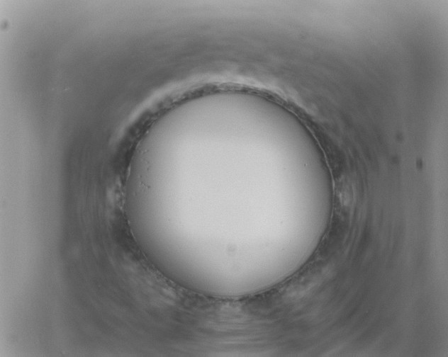 X0000060801495200511241857