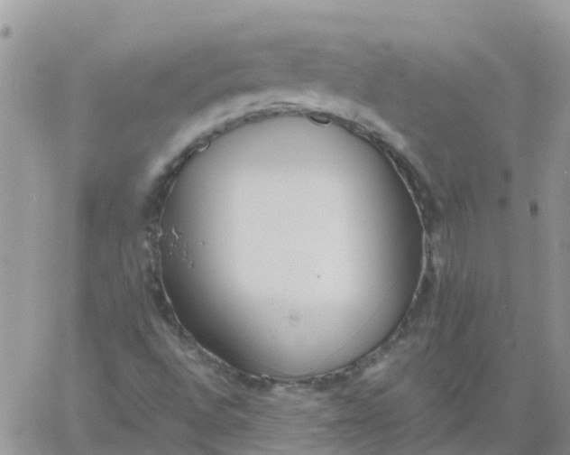 X0000060801496200511241857