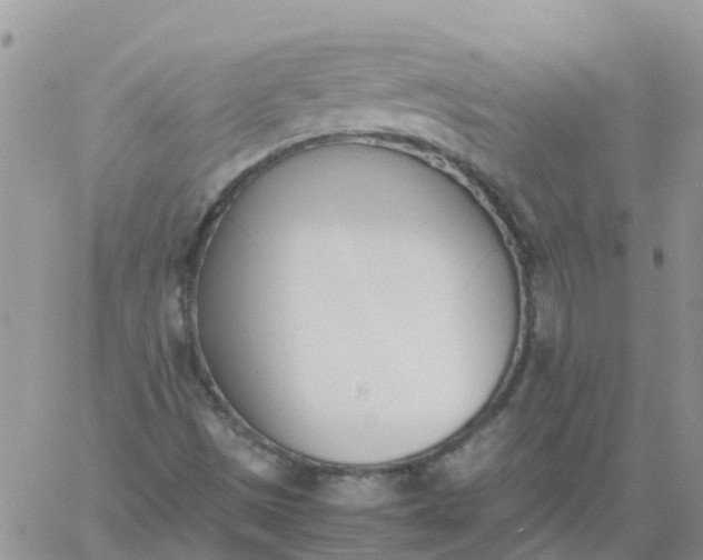 X0000060801497200511241857