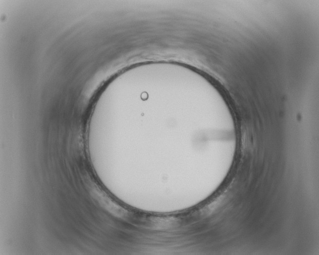 X0000060801498200511241857