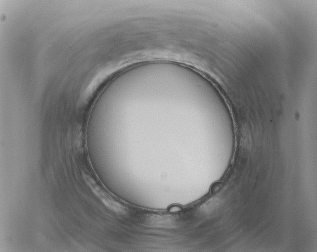 X0000060801499200511241857