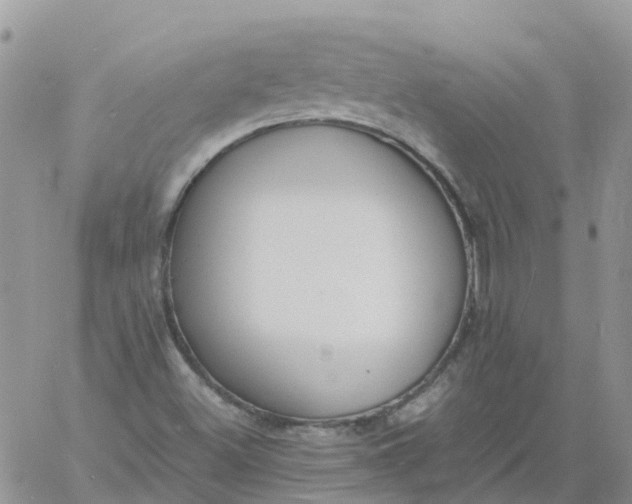 X0000060801500200511241857