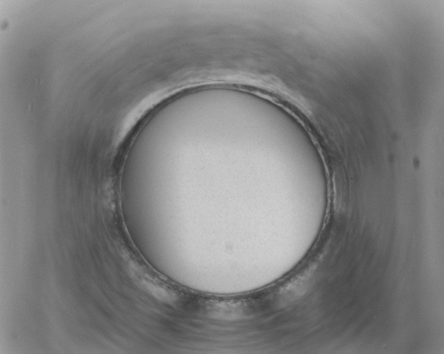 X0000060801501200511241857