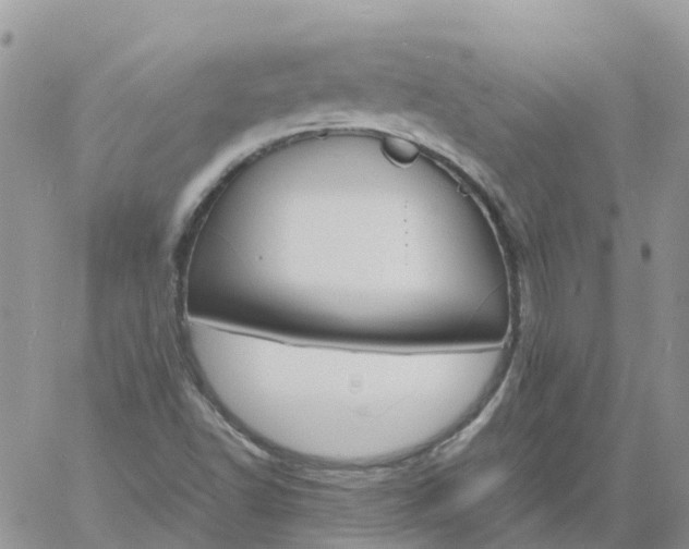 X0000060801502200511241857