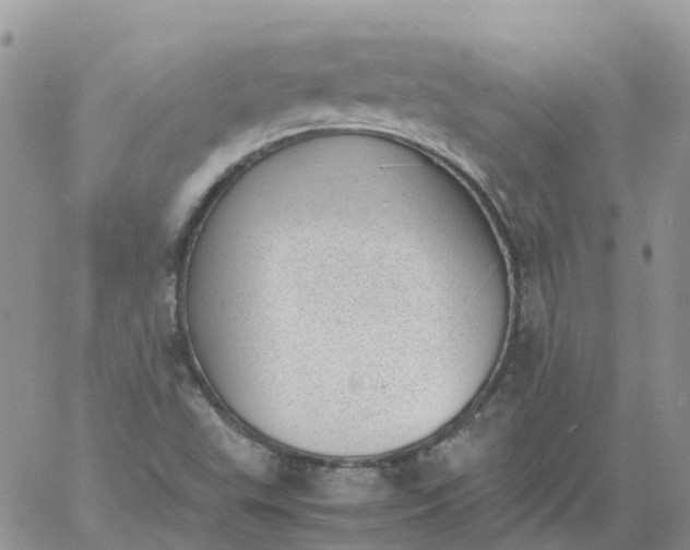 X0000060801503200511241857