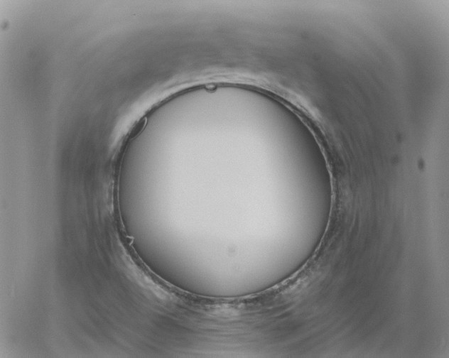 X0000060801504200511241857