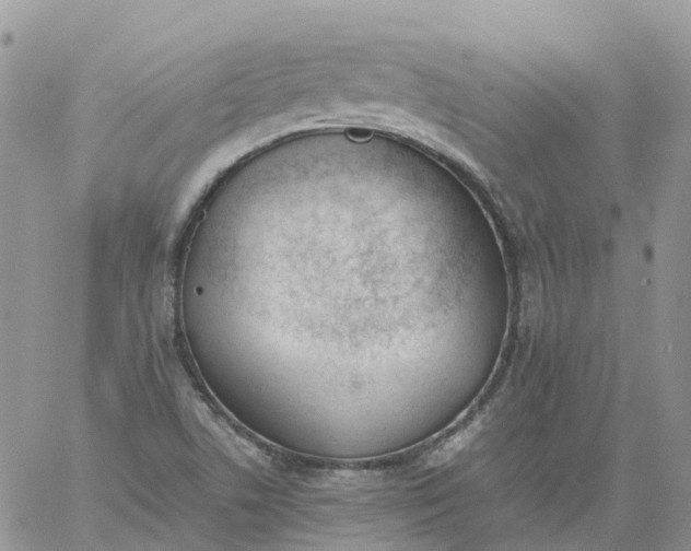 X0000060801506200511241857