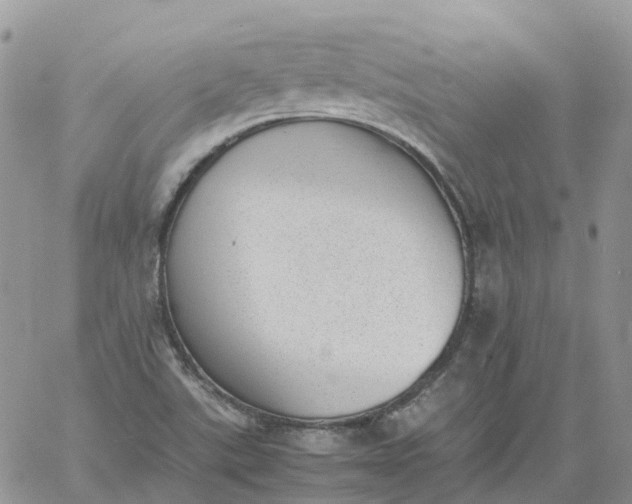 X0000060801507200511241857