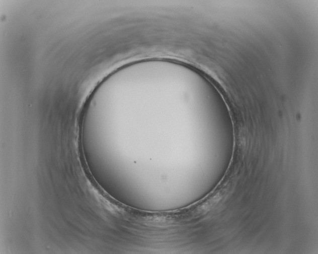 X0000060801508200511241857