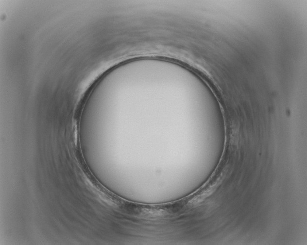 X0000060801509200511241857