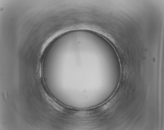 X0000060801510200511241857