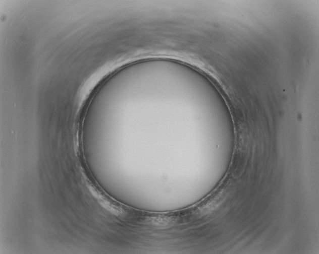 X0000060801511200511241857