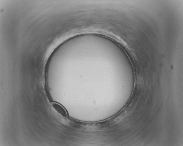 X0000060801512200511241857