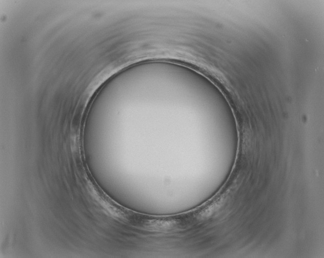 X0000060801513200511241857