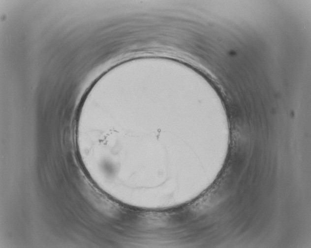 X0000060801514200511241857