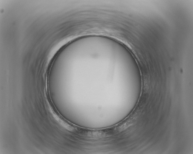 X0000060801515200511241857