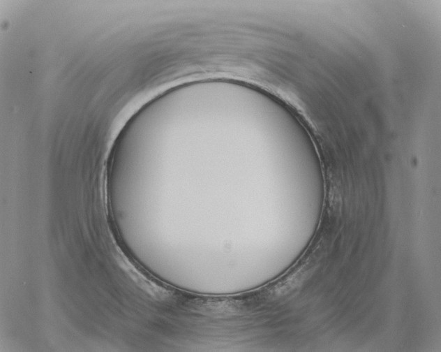 X0000060801516200511241857