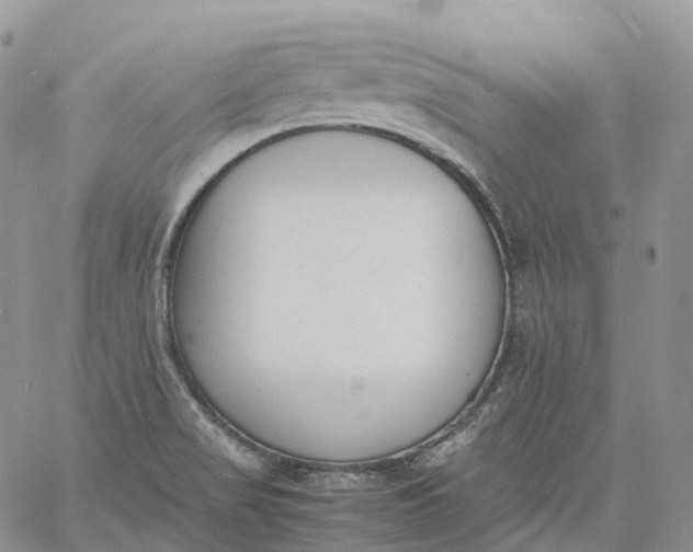 X0000060801517200511241857