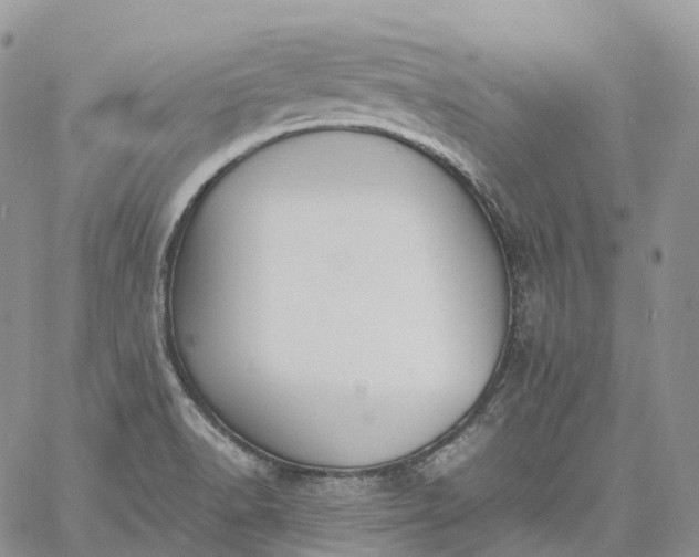 X0000060801518200511241857