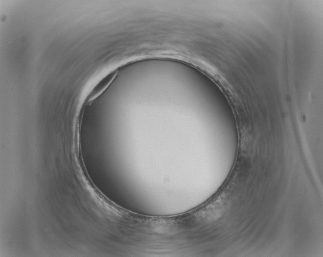 X0000060801520200511241857