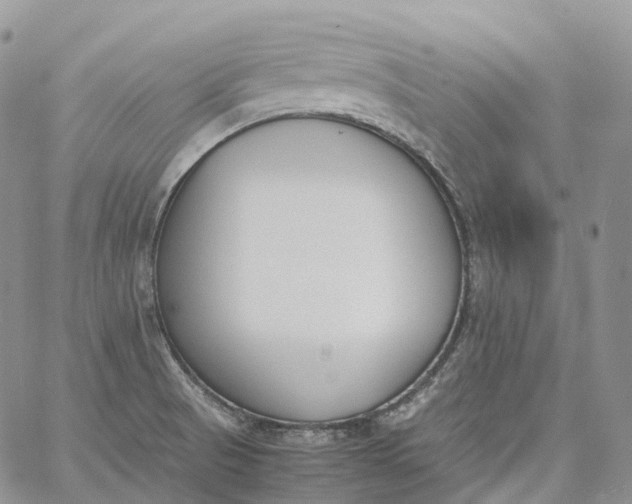 X0000060801521200511241857